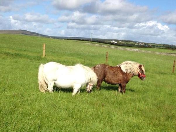 Ceol Na Dtonnta Hotel Doolin Bagian luar foto